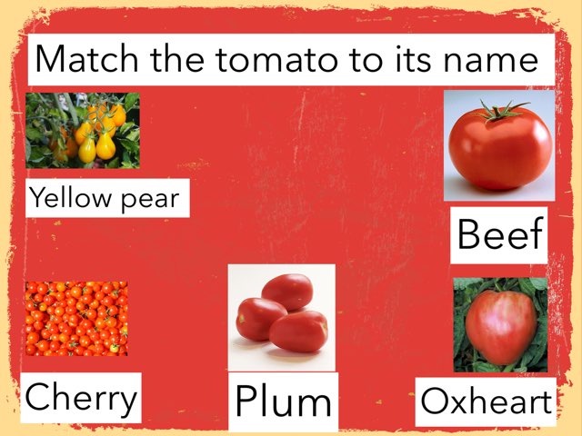 Match The Tomato To Its Name  by Lianne Lax