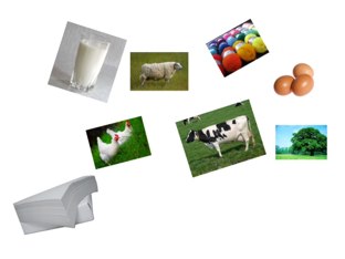 Memory by KidsParents Xpectprimair