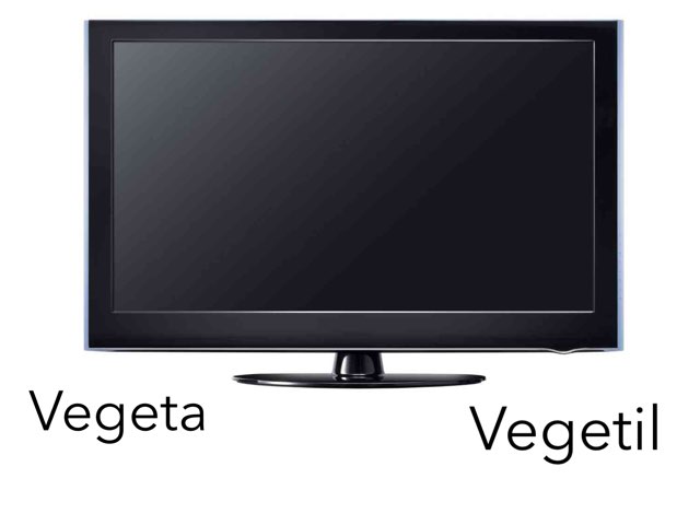 Mi Tele Vegetil 7 by Ramon calvo saez