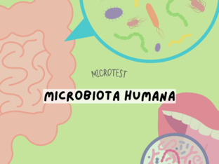MicroTest: Microbiota Humana by Sâmela Costa