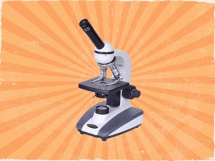 Microscopes. Meant For Kids! by Katie Klein