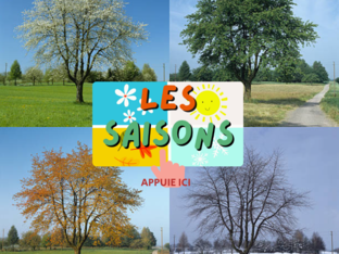 Milo le lapin & les quatre saisons  by Nawel