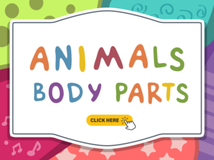 Missing body parts ( Animals) by Vicky Ykciv