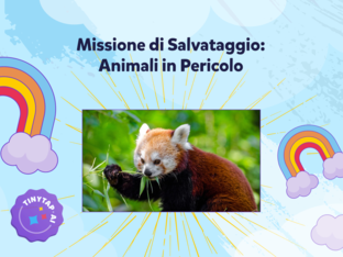 Missione di Salvataggio: Animali in Pericolo by LAURA DE NICOLO'