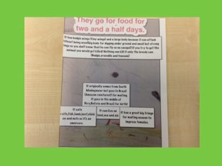 Mohamad by Claire sykes