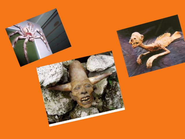 Monster by Siebe siebe