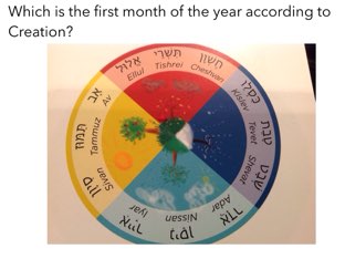 Months Of The Jewish Year by JS Kett