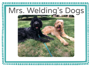 Mrs. Welding's Dogs by April Welding