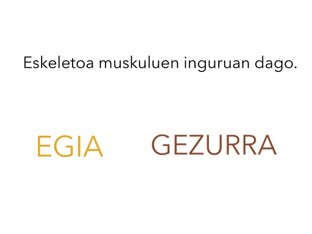 Muskuluak by Endika Bedia