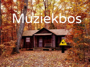 Muziekbos by Jana De Ridder
