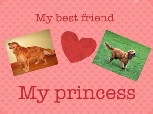 My Belovered Dog by Tali Keigher