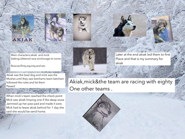 My School Projects by Angel Begino