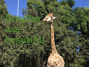 My game by Susie  Lord