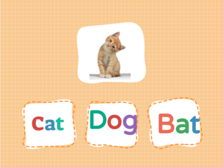 My Pet by Puncharat Chaisawat