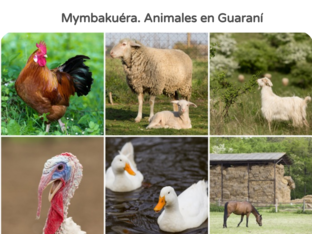 Mymbakuéra... Animales en Guaraní by JOSE VALENZUELA