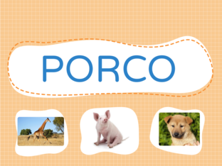 NOME DOS ANIMAIS by Ana