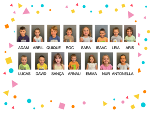 NOMS DELS LLEONS by CARME VALLMAJO TRAYTER