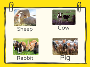 Name the Animals by Cik Hani Suke Dia