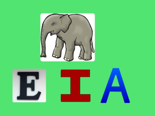 Name the beginning letter of the animal Free Games | Activities