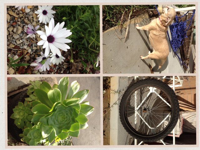 Natural V Man Made by Kerry Liston