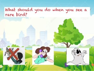 Nature Park by عمر عطالله