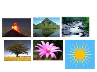 Nature1 by Jonathan Graham