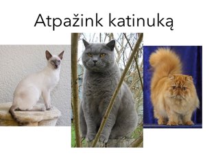 Neda Beata by Stasele Riskiene