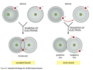 Nephi's, Gaige's & Mile's Group Project Due Apr 25 4th by Nephi Balle