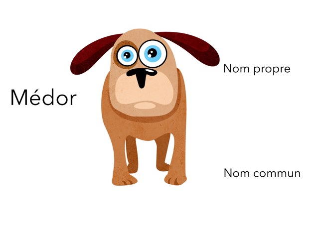 Nom Propre Nom Commun by Laetitia Monnier