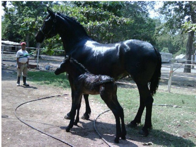 Nos Contamos Historias by Aula Inmersión