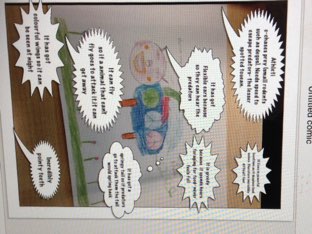 Nyah  by Claire sykes