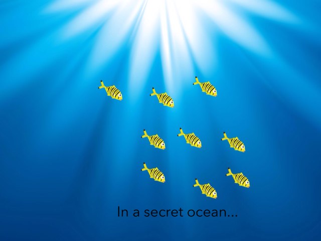 Ocean Maths by Estefanía Campos