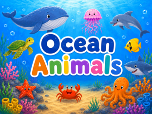 Ocean Animal: Find and Identify by Tiana Spurling