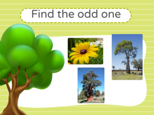 Odd one out by Soni Agarwal