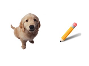 Onomatopeyas  by María-Paz Chandía