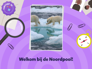 Ontdek de Noordpool by Chelsea Smolders