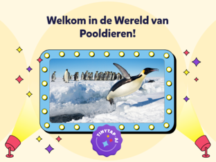 Ontdek de Pooldieren by Chelsea Smolders