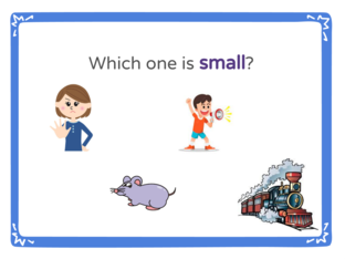 Opposites by Heidi Travaillaud