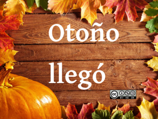 Otoño llegó by Teresa Medina