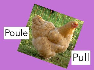 Ou vs U by Julie Prince