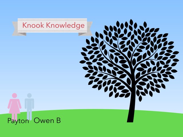 Owen B  by Dandy Lions