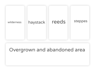 P4 T1 Vocabulary Words by Shirley
