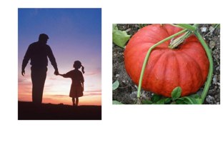 PA - PO by Logo Myriam