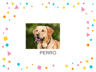 PERRO by 