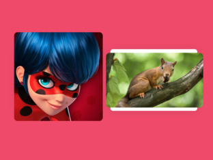 PT game 2 by Jill Mandel