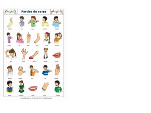 Partes Del Cuerpo by Isabel Pobre