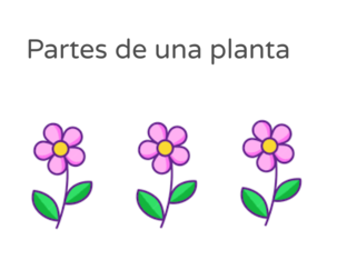 Partes de las plantas by Mª Virginia Fajardo