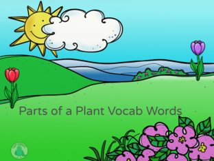 Parts of a Plant Words by April Welding
