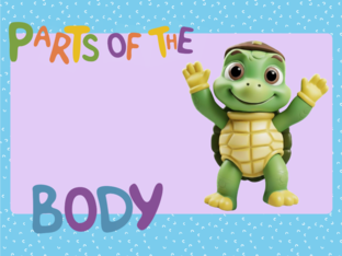 Parts of the body by lili