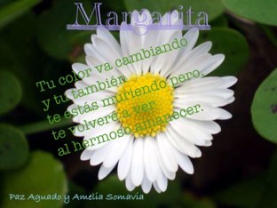 Paz Y Amelia Margarita by Vale Peraldi